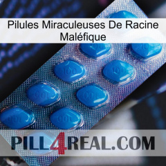 Pilules Miraculeuses De Racine Maléfique viagra1